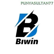 Biwin — mitra unggulan